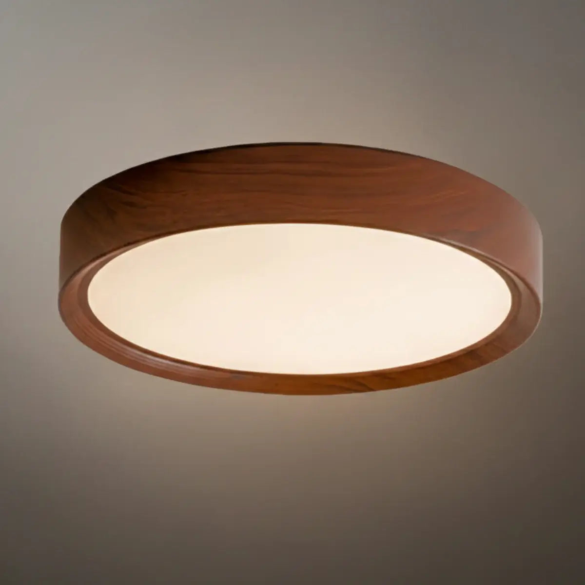 Zenno Modern Flush Mount Ceiling Light